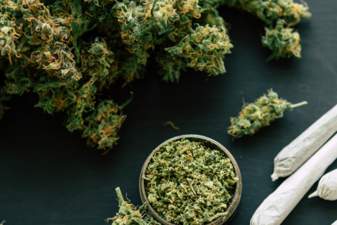 Bundesrat billigt Cannabis-Gesetz: Kiffen ab 01.04.2024 erlaubt
