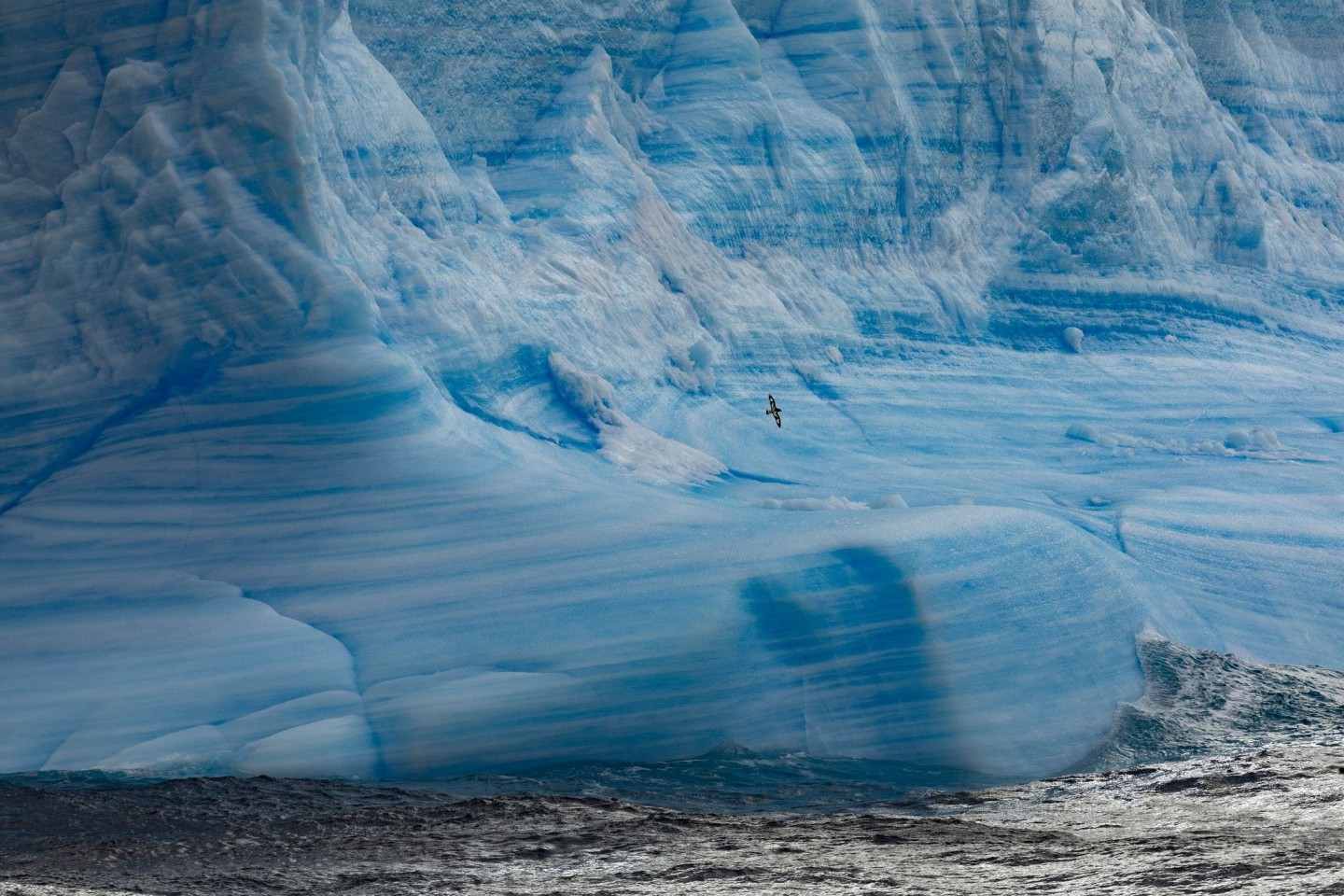 Ein Gletscher im Weddellmeer: Nachdem der aktuelle Vogelgrippe-Ausbruch die Antarktis erreicht hat, befürchten Umweltexperten ein Massensterben von Seevögeln.