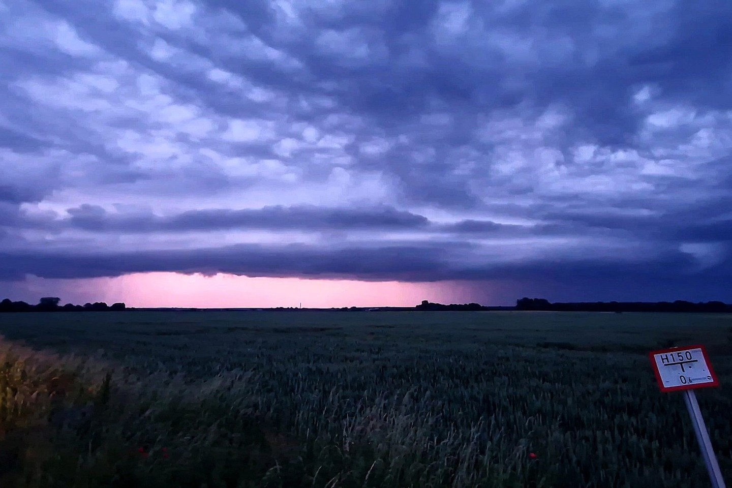 Eine Regenfront zieht über Brandenburg und Teile Sachsen-Anhalts hinweg. Mit zunehmender Feuchtigkeit wird die Hitze in den nächsten Tagen unangenehmer.