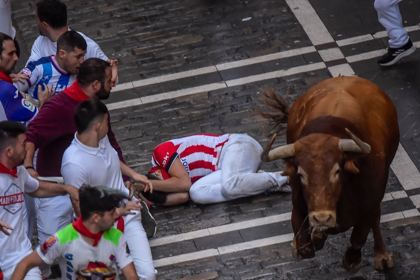 Ein Kampfstier läuft am dritten Tag des Stiertreibens während des «Sanfermines»-Fest zwischen den Menschen umher.