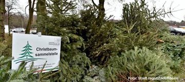 Kostenfreie Christbaum-Sammelstellen 2018