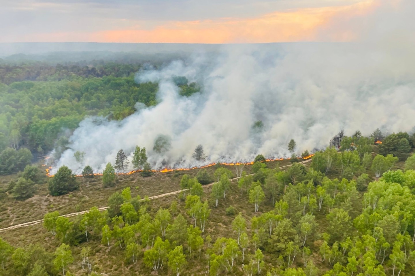 Ein Blick auf das Waldbrandgebiet in Jüterbog aus einem Hubschrauber der Bundespolizei.