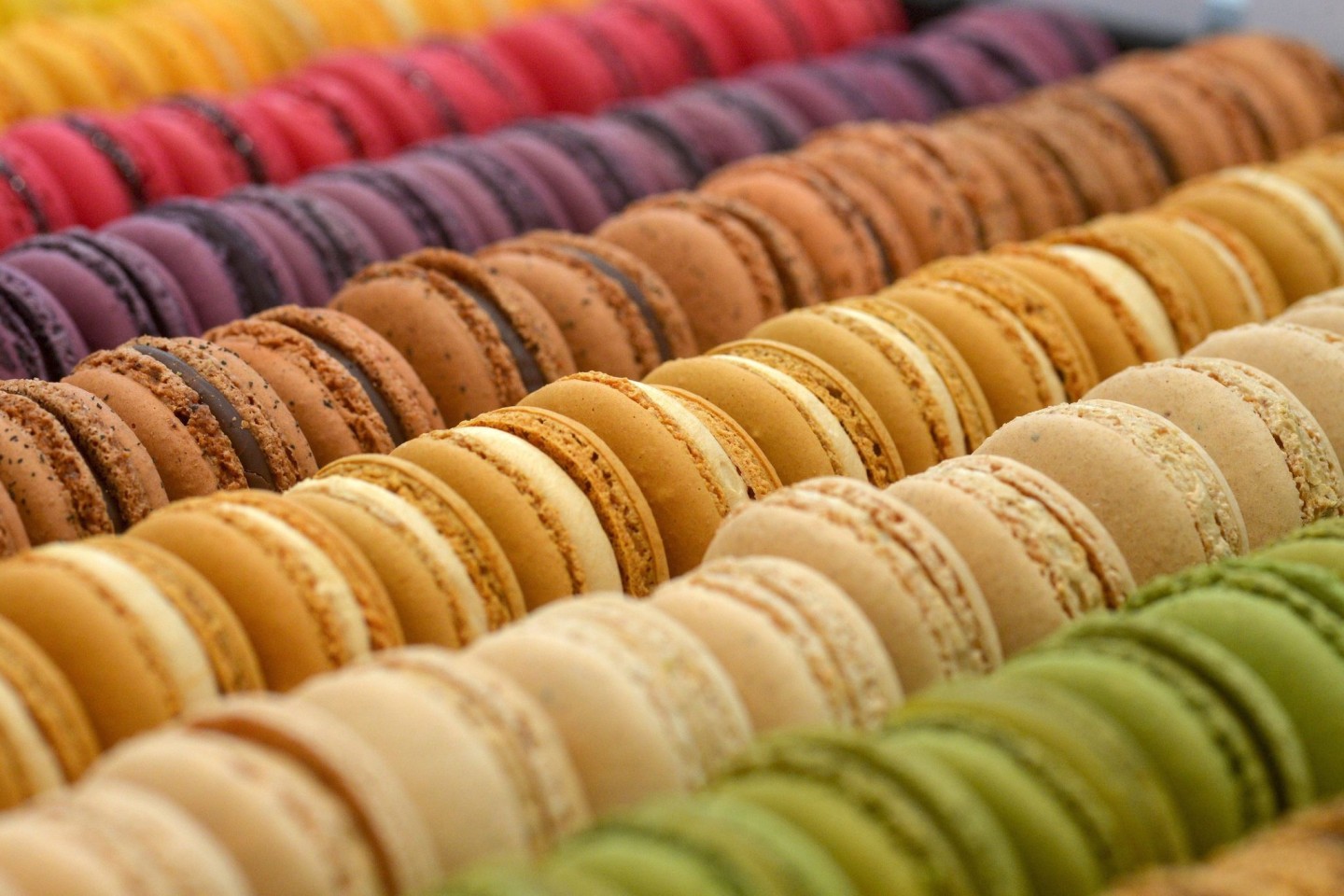 Bunt, bunter, Macarons: Blick auf eine Auswahl des Trend-Gebäcks in Brüssel. (Archivbild von 2014)