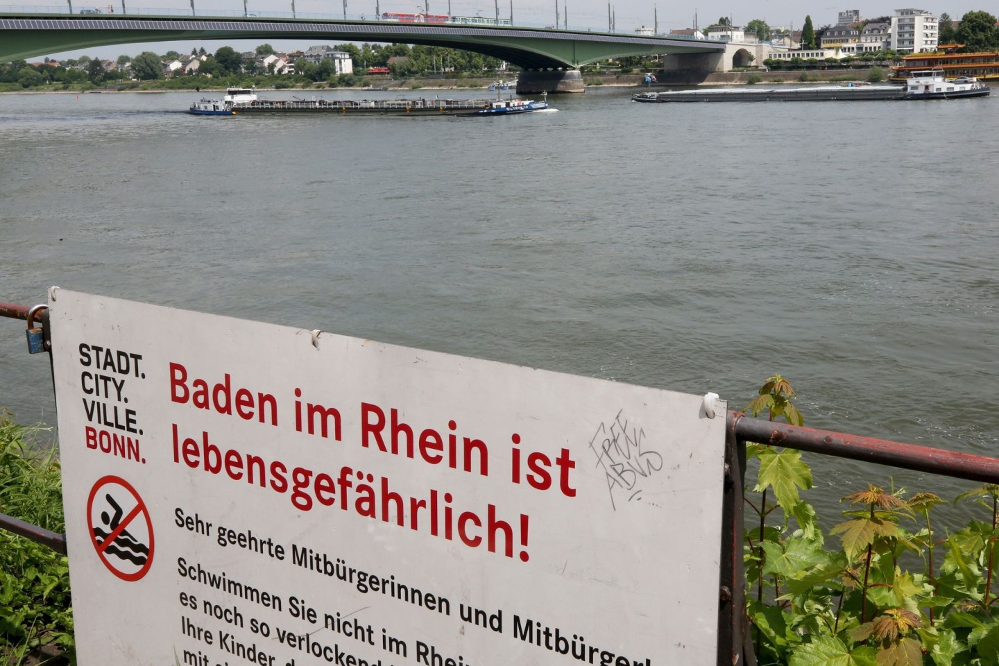 Die Stadt Bonn warnt die Menschen vor den Gefahren beim Schwimmen im Rhein.