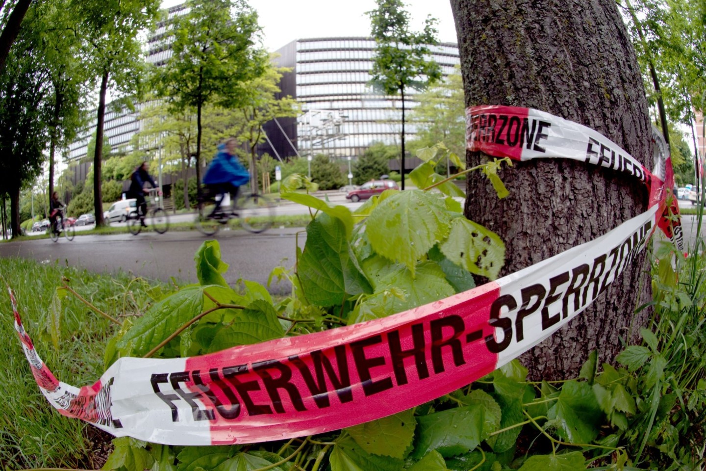 Absperrband der Feuerwehr hängt an einem Baum: Am späten Abend des 28.05.2013 wurde an der Stelle ein 31-Jähriger von einem unbekannten Mann so schwer verletzt, dass er kurze Zeit später...