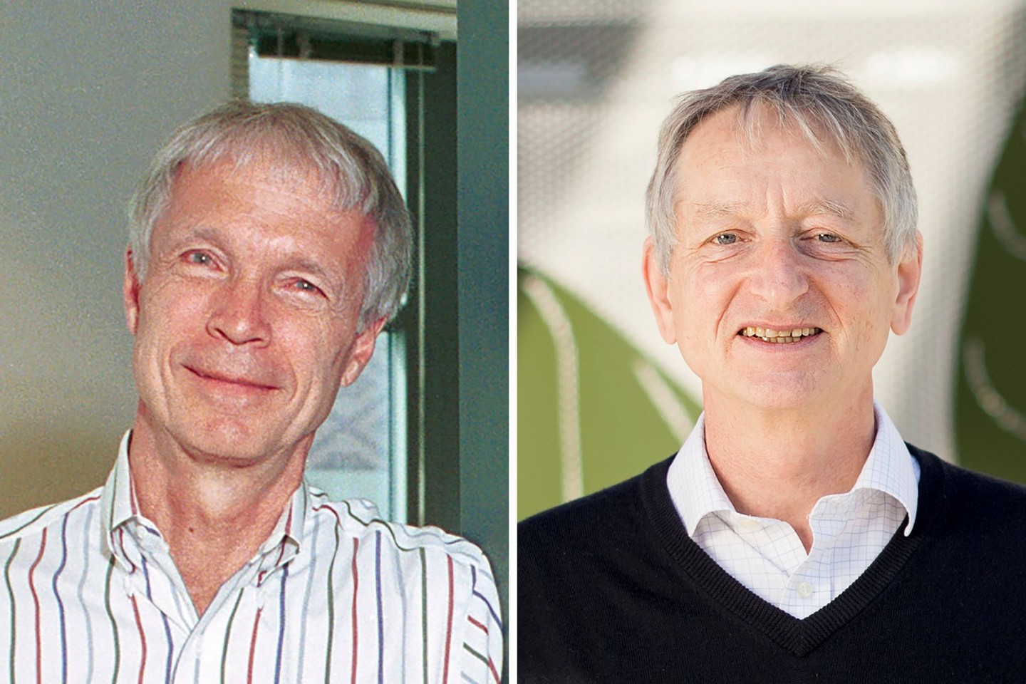 Der Nobelpreis für Physik geht in diesem Jahr an den US-Amerikaner John Hopfield und den kanadischen Forscher Geoffrey Hinton.