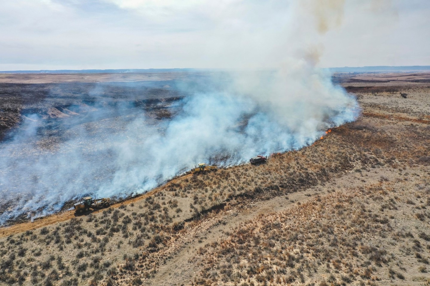 Feuerwehrleute bekämpfen das Smokehouse Creek Fire nördlich von Canadian im US-Bundesstaat Texas.